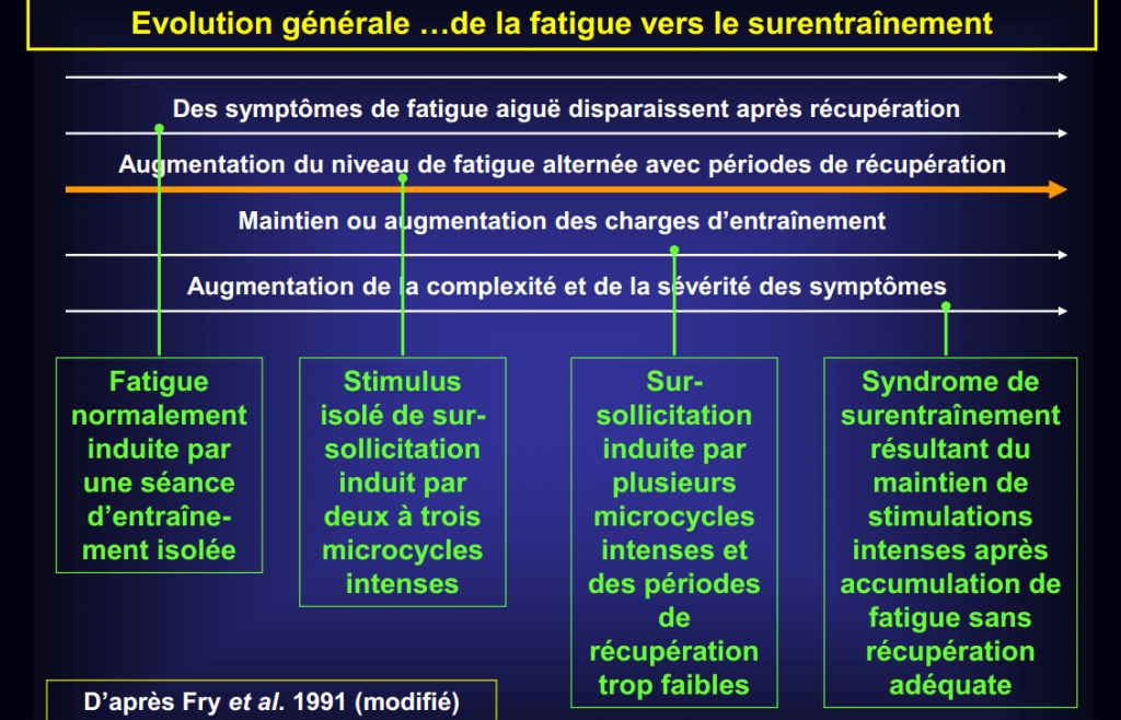 Fatigue périphérique, fatigue centrale et surentraînement